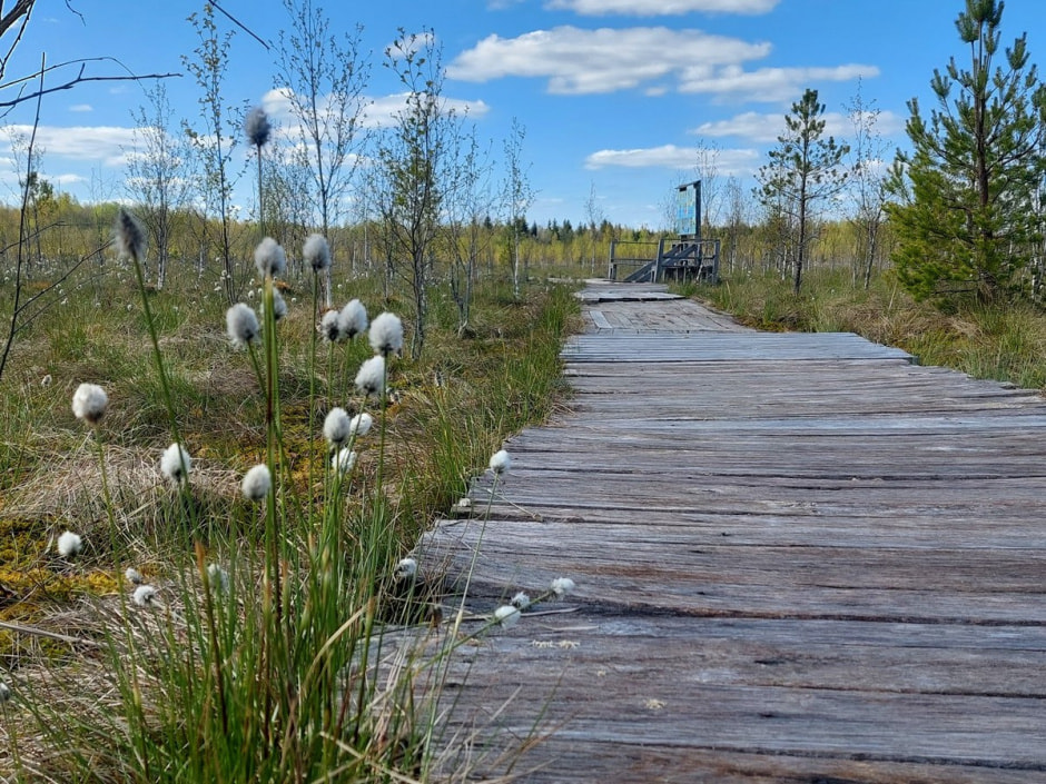 Поход на Ельню 11.jpg