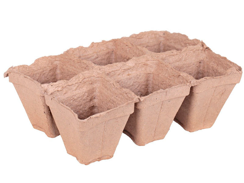 photo_2025-02-03_20-51-39 (5).jpg