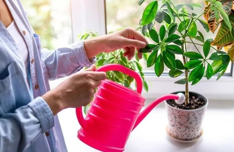 дом4.jpg дом4.jpg