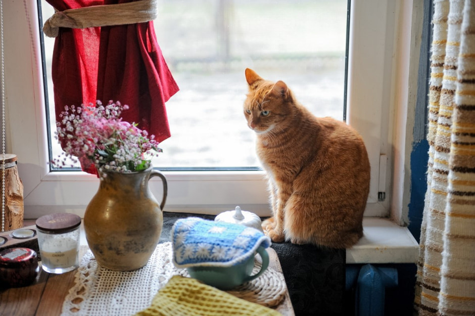 Деревня Ушковица 13.jpg