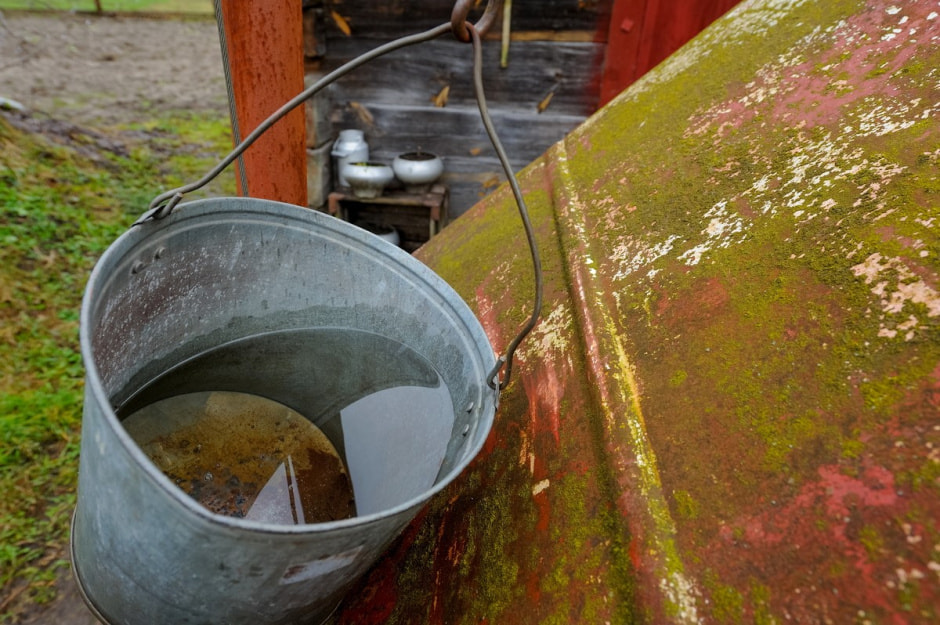 Деревня Ушковица 10.jpg