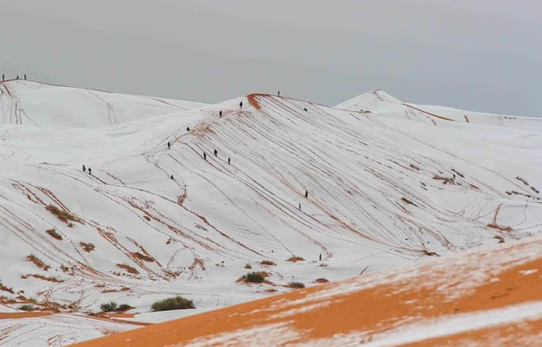 сахара снег