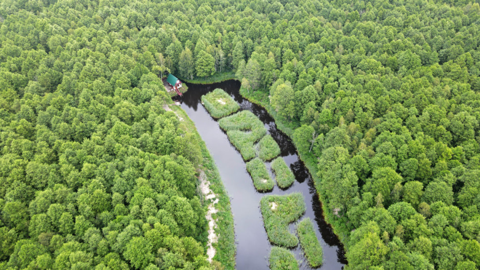 Выгонощанское Выгонощанское.jpg