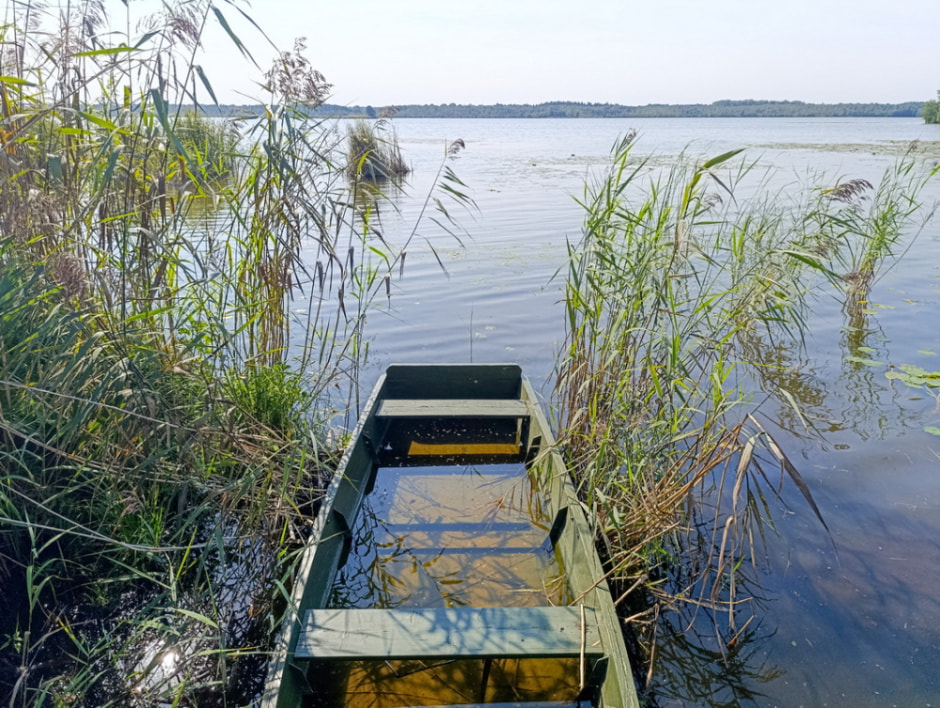 Сотниковы 26.jpg