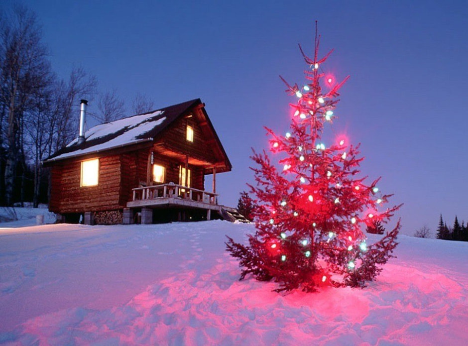 нг на даче нг на даче 3.jpg