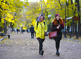 Утром туман, днём — солнце. Какой будет температура в Беларуси 8 ноября?