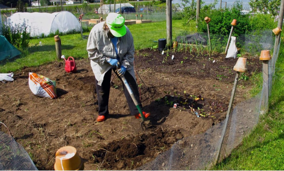 Женщина в огороде.jpg