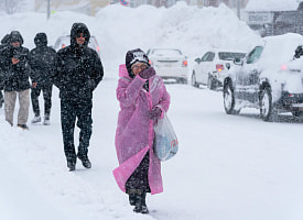Снег по окна и ветер до 38 м/с: Камчатка оказалась в снежной ловушке