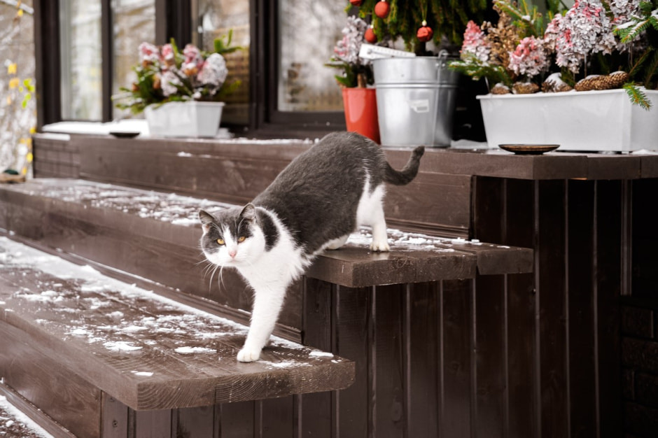 Хутор Скрабатуны 17.jpg