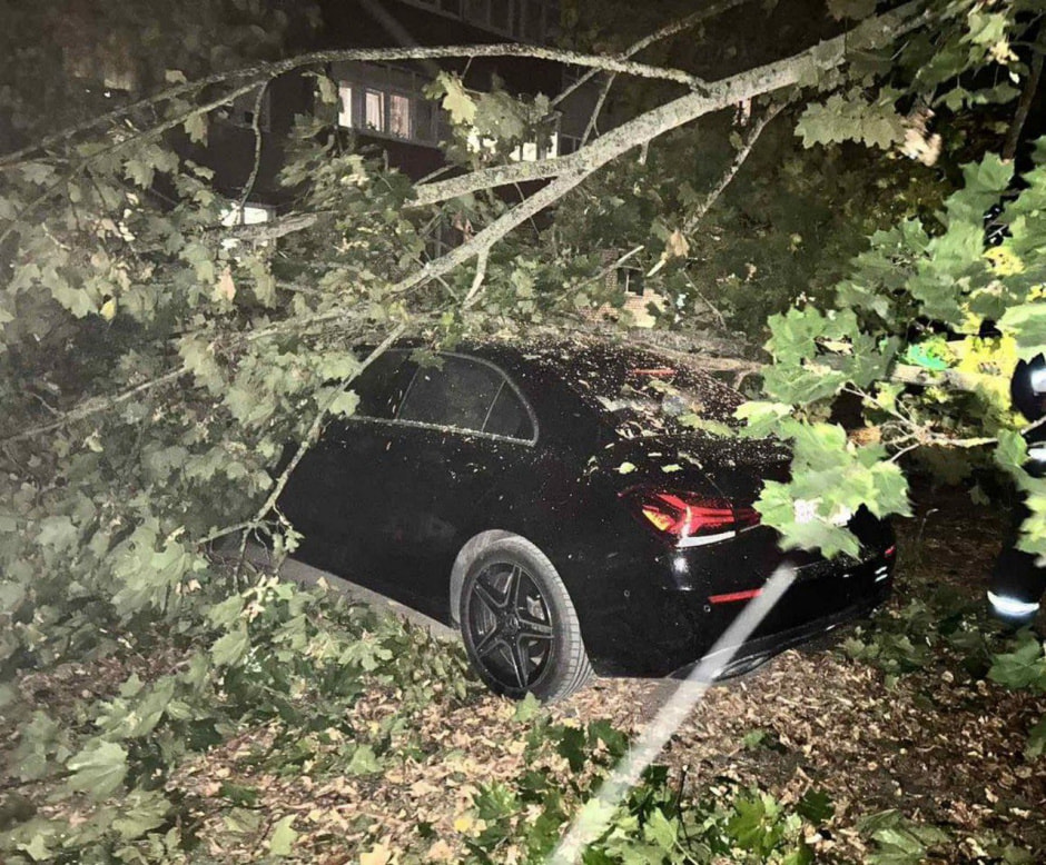 Последствия урагана 2.jpg