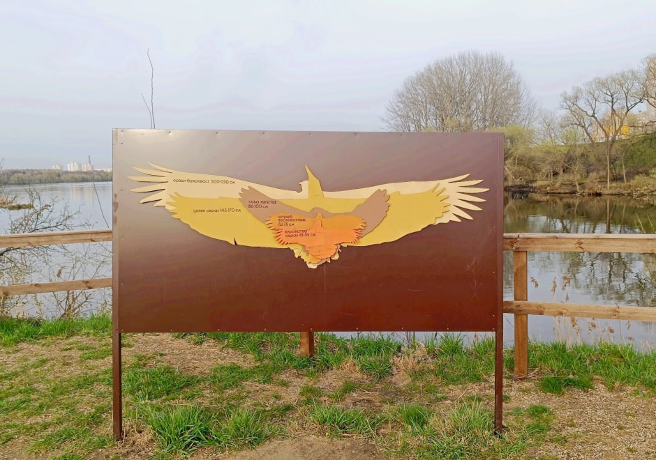 Топ-5 экотроп Минска 37_Чомга-остров.jpg Топ-5 экотроп Минска 37_Чомга-остров.jpg