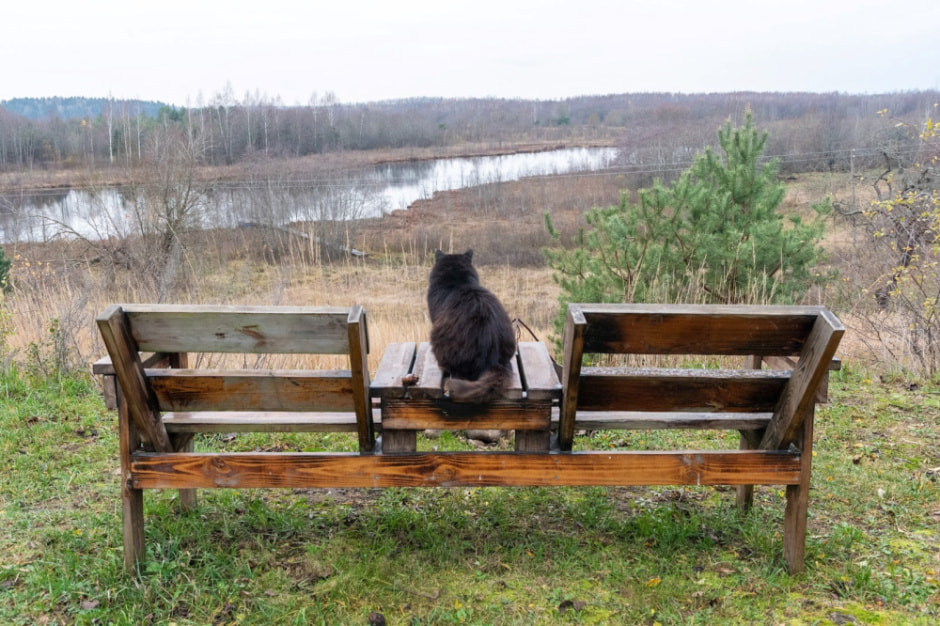 Девушка и деревенская хата в Ягодках 12.jpg