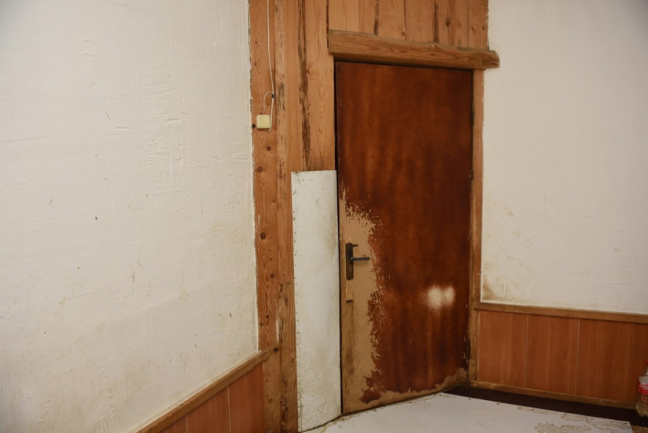 Зоогостиница 4 лапы 5.jpg