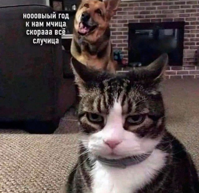 мемы_новыйгод1_1.jpg