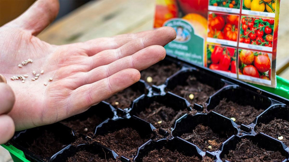 Когда садить рассаду семян и перцев 1.jpg