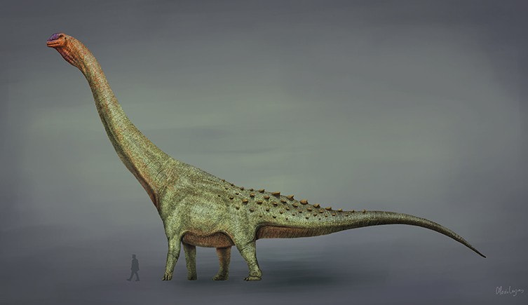titanosaur.jpg