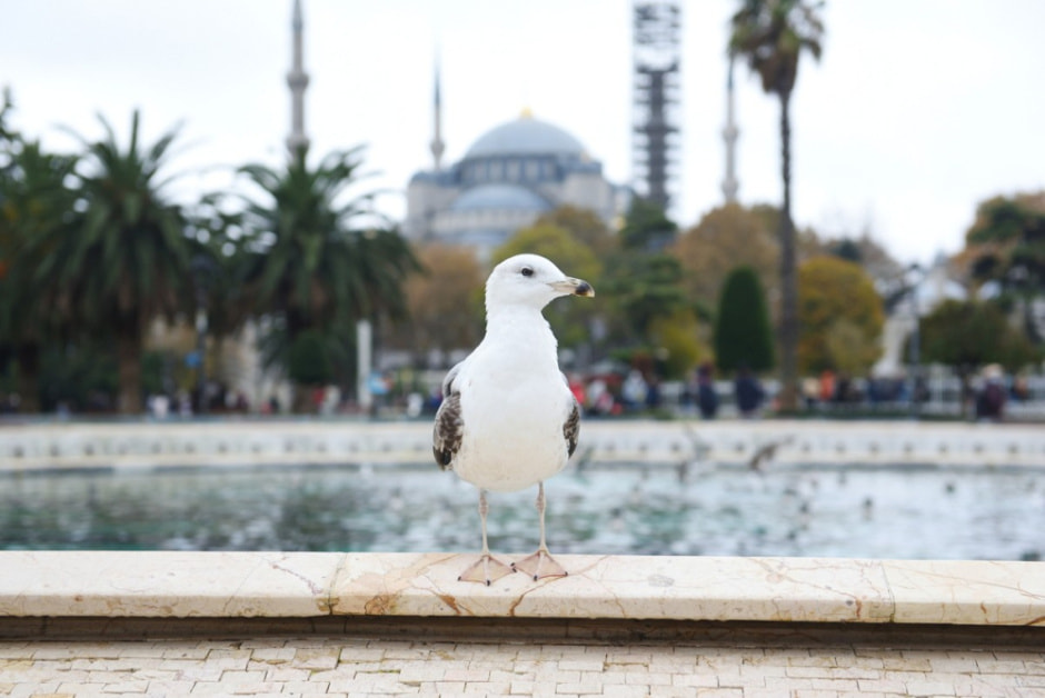 Эксперимент год без алкоголя 6.jpg