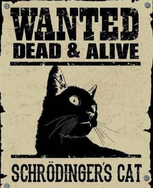 кот шрёдингера кот шрёдингера