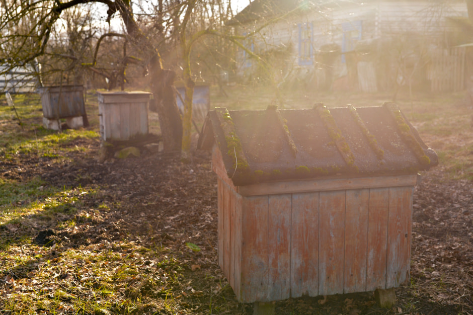 Деревня затопленная Припятью-63.JPG
