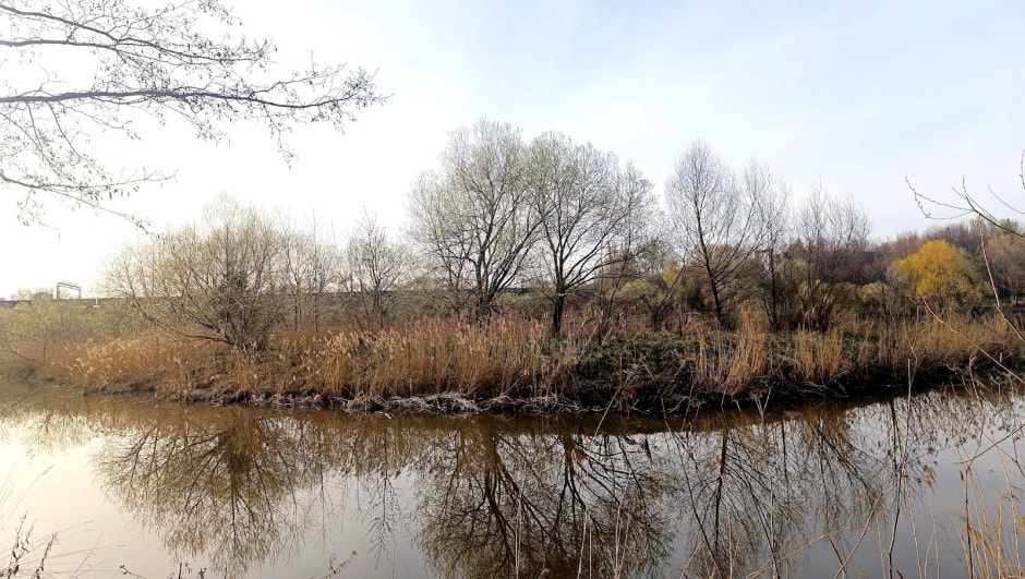 Топ-5 экотроп Минска 2_Белая дача.jpg Топ-5 экотроп Минска 2_Белая дача.jpg