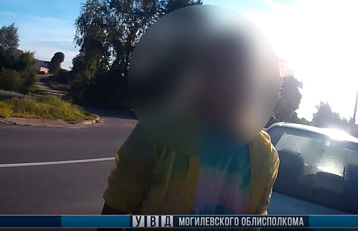 В Горках водитель показала ГАИ документы – заплатит 9000 рублей штрафа и на 5 лет станет пешеходом