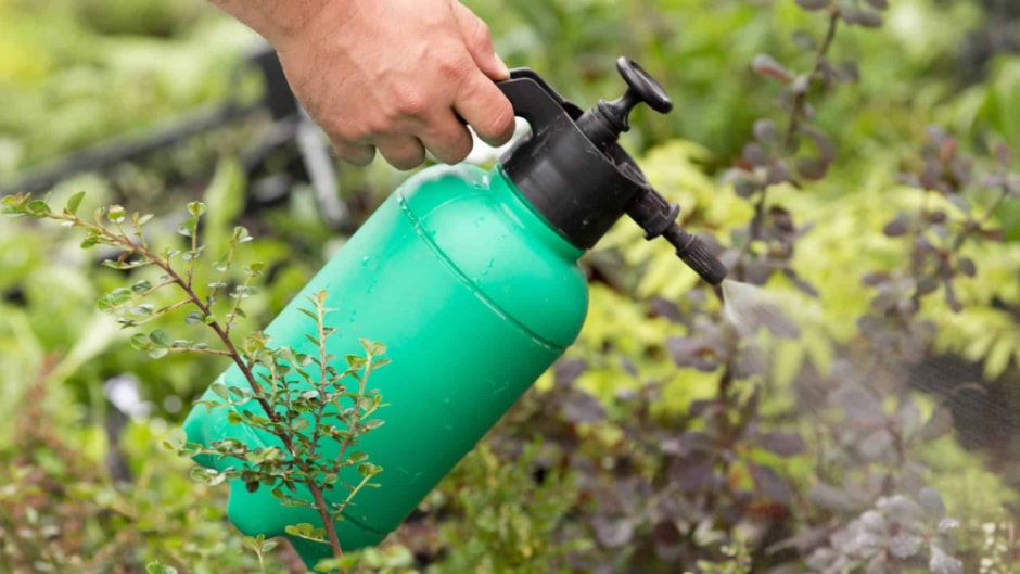 химия3.jpg химия3.jpg