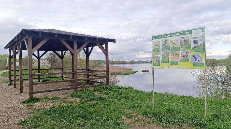 Топ-5 экотроп Минска 35_Чомга-остров.jpg