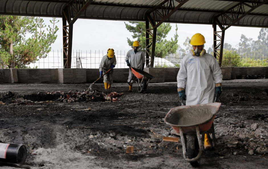 Кокаин Эквадор .jpg