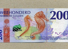 Деньги как искусство. Названа самая красивая банкнота 2025 года – только посмотрите