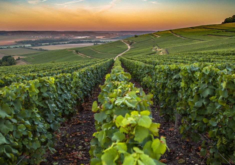 Дорогое шампанское 5.jpg