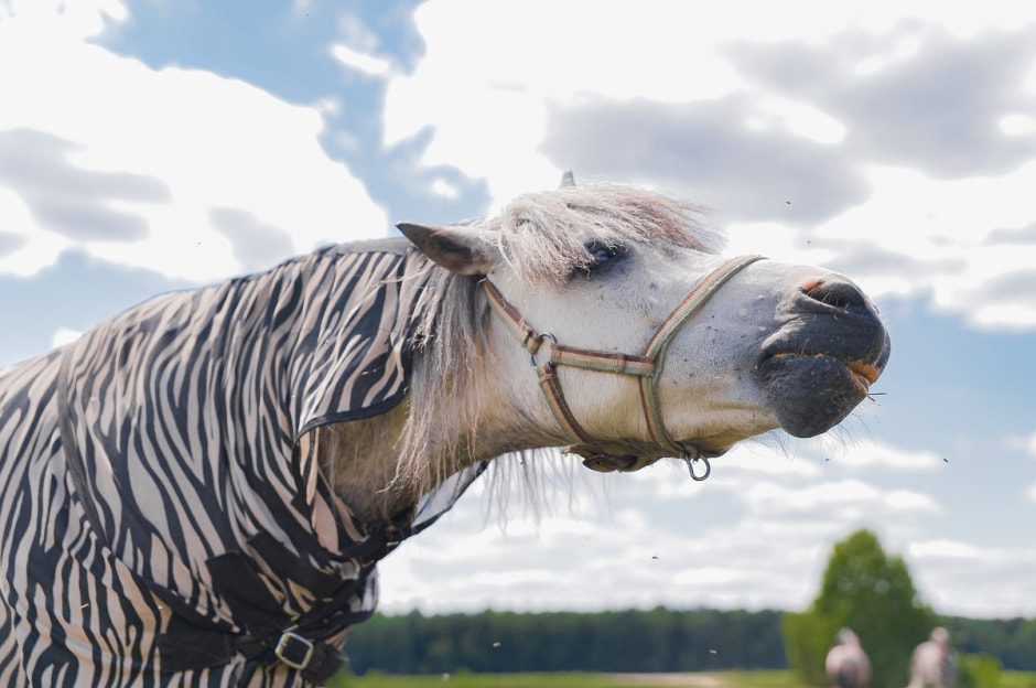 Репетитор в деревне 21.jpg