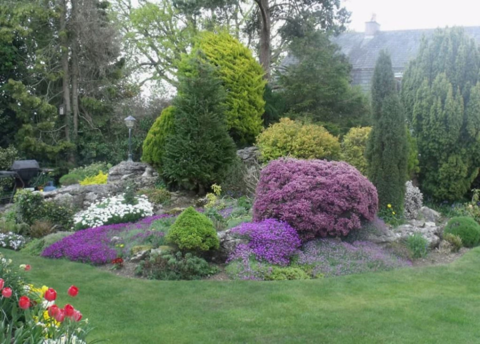 Садим рододендрон 6.jpg