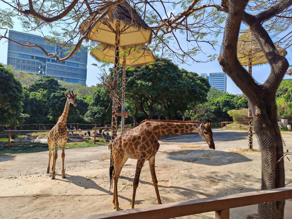 Детализация в автоматическом режиме.jpg