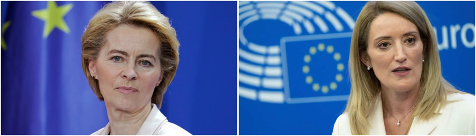 Фон дер Ляйен метсола.jpg