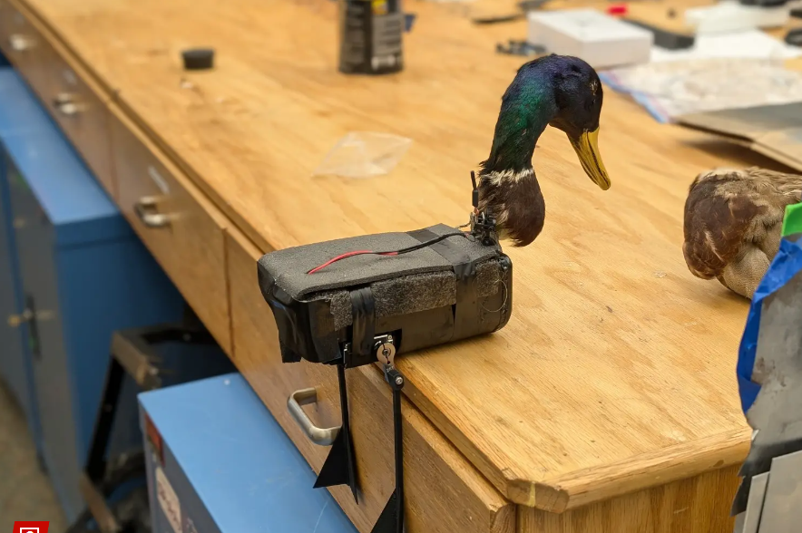 В США создают 