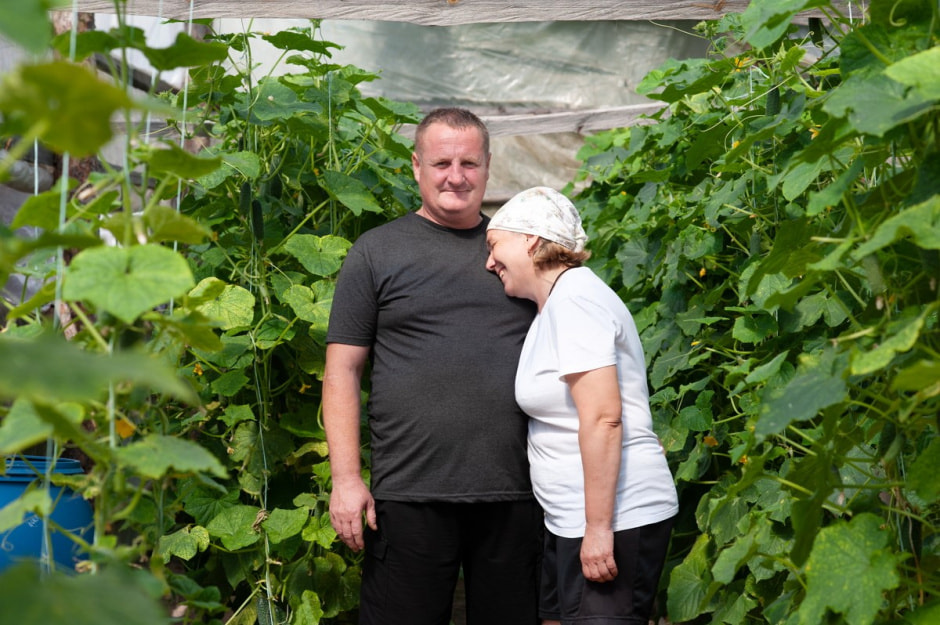 Семья Лой 20 лет выращивает огурцы и помидоры 9.jpg