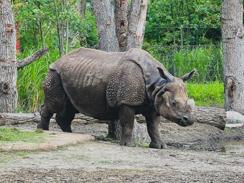 Берлинский зоопарк 4.jpg