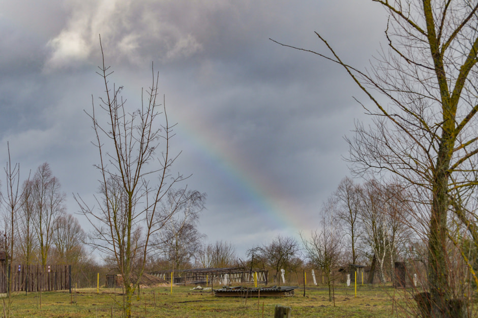 Деревня затопленная Припятью-22.JPG