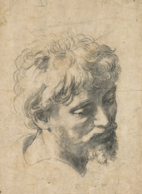 Голова молодого апостола