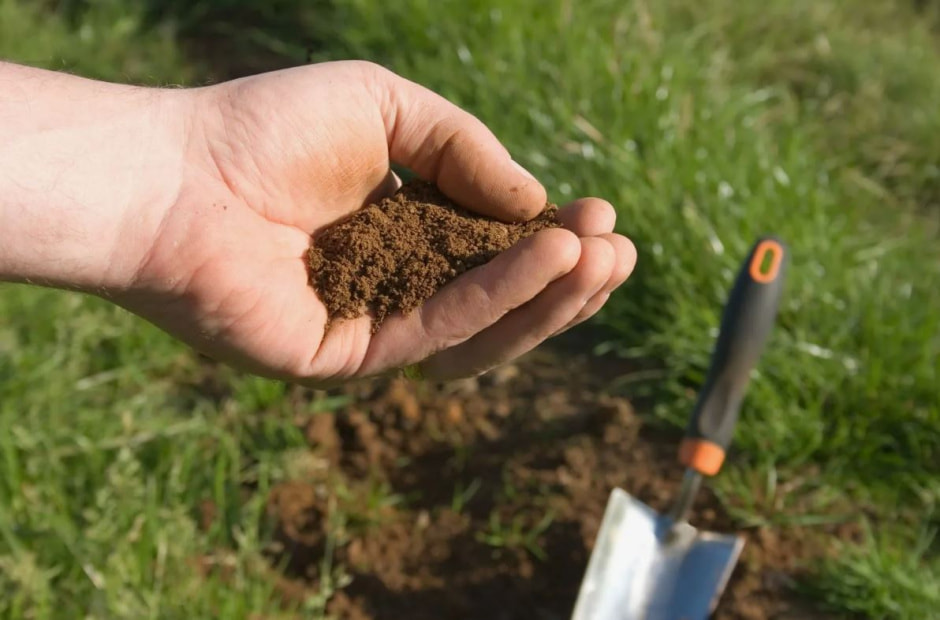 Почва на даче.jpg