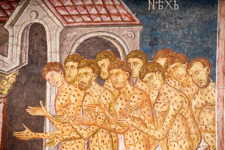 Кожные болезни_7.png