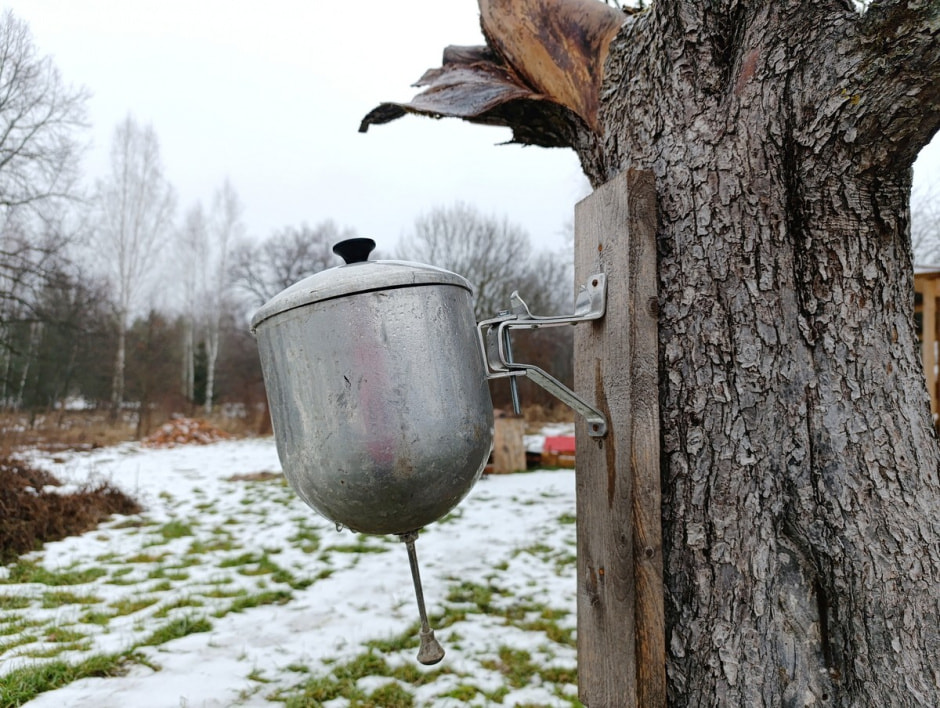 Семья Тузенковых в лесной глуши 19.jpg