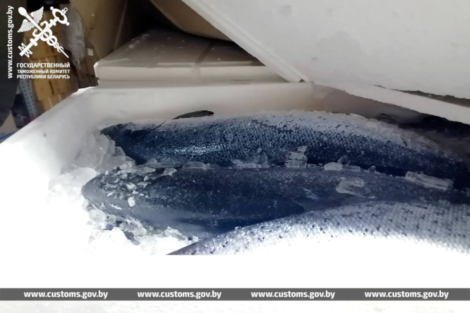 таможня лосось.jpg