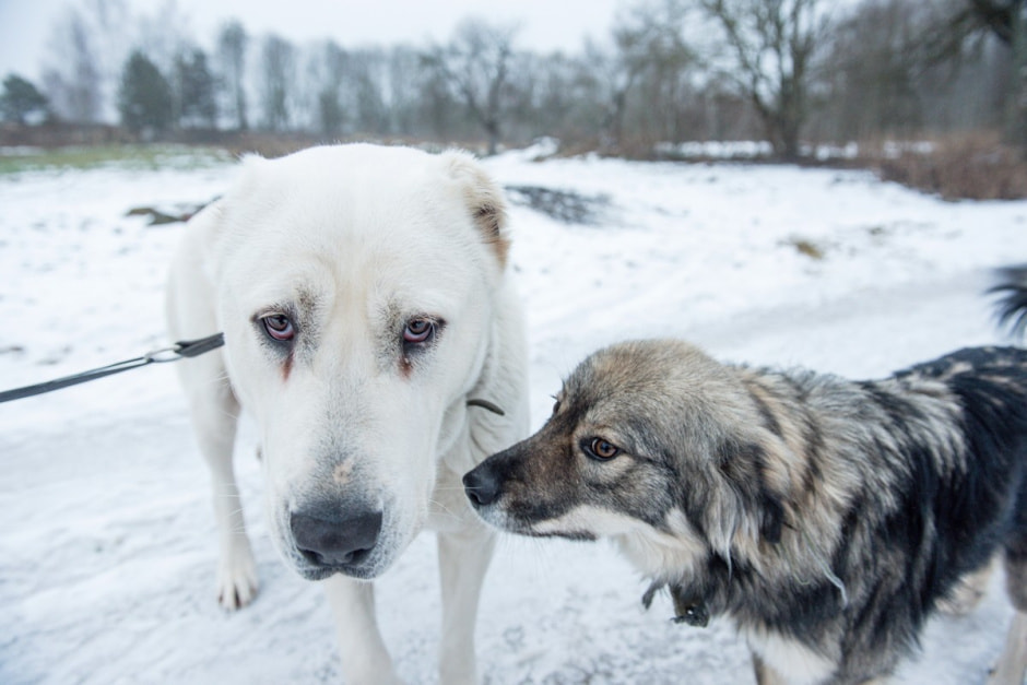 Семья Тузенковых в лесной глуши 15.jpg
