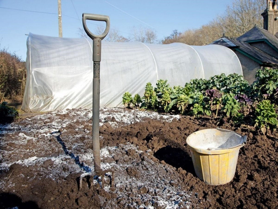 Готовим дачный участок к зиме 8.jpg