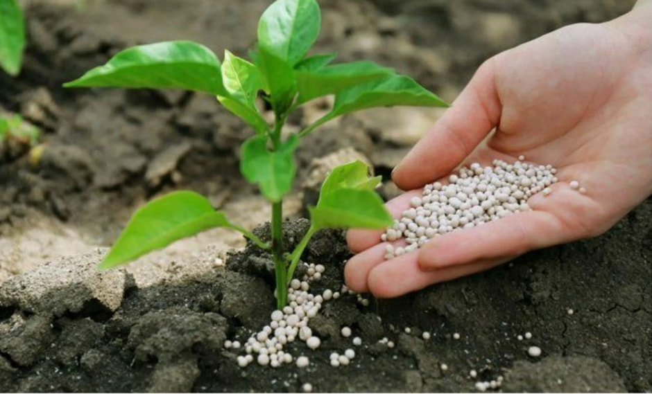 Гранулированное удобрение.jpg Гранулированное удобрение.jpg