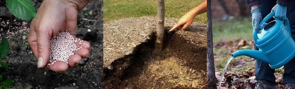 photo_2025-09-03_14-14-14 (3) (1).jpg