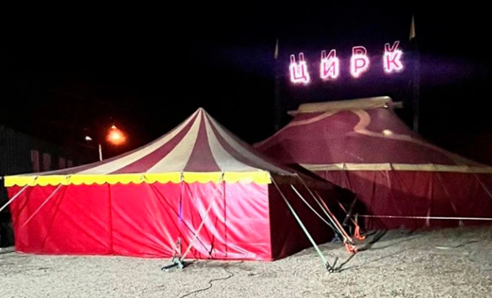 Пантера покусала трехлетнего ребенка в передвижном цирке в Ангарске.png