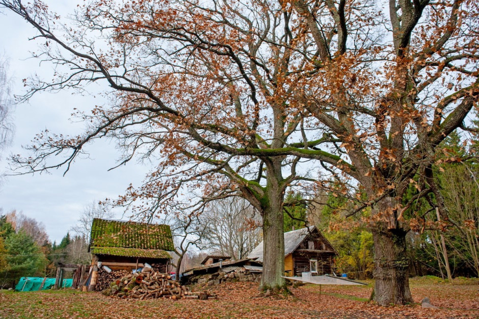 Хутор Окушково 13.jpg Хутор Окушково 13.jpg