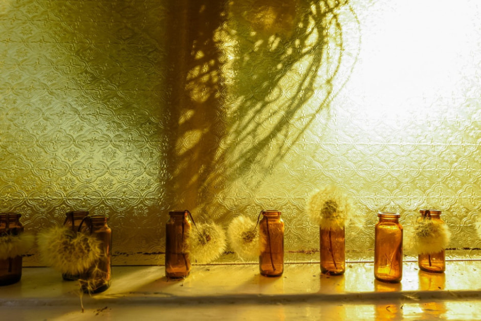 Клоунариум в деревне Зябки 18.jpg